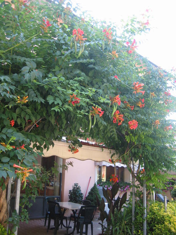 Albergo Ristorante Sterlina Grizzana Quarto foto